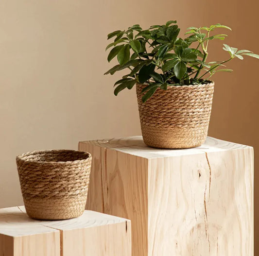 Handwoven Straw Flowerpot