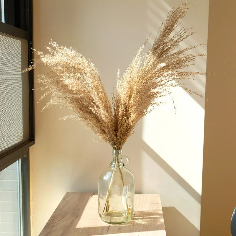 Dried Pampas Grass