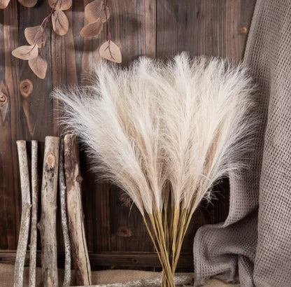 Pampas Grass